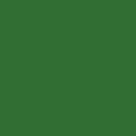 Peinture aérosol multisupport vert pin RAL 6029 400ml Delkolor