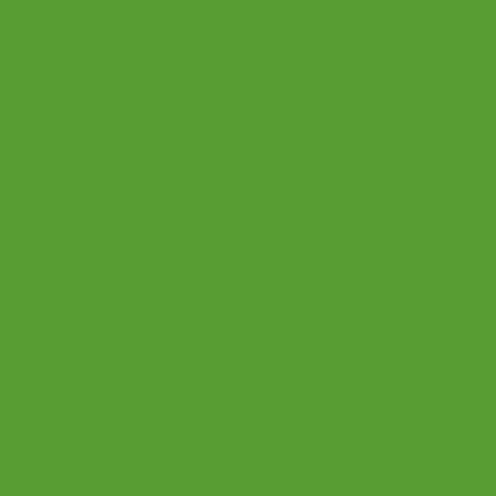 Peinture aérosol multisupport vert pomme RAL 6018 400ml Delkolor