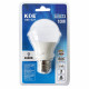 Ampoule LED E27 Standard 10W (équivalent 80W) - Blanc froid