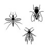 Insectes volants : guêpes, frelons, moustiques, mouches