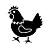 Produits pour poules (graines, compléments, poulaillers, anti poux rouges, etc.) | Tout Brico